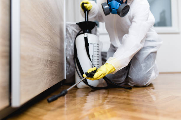 Professional Pest Control in Murrysville, PA