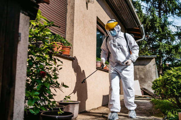 Flea Control Services in Murrysville, PA