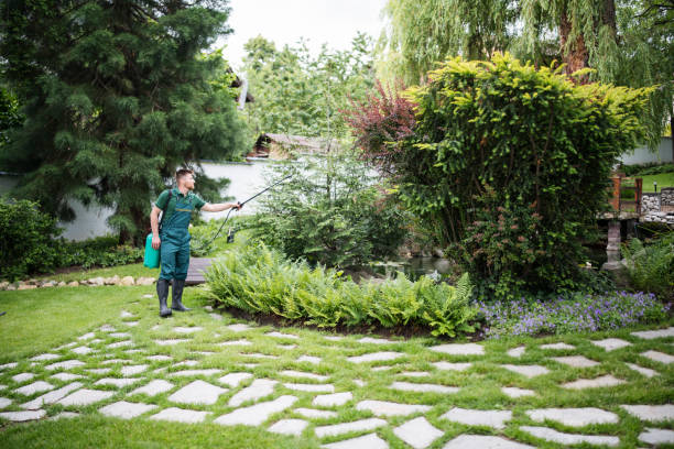 Best Pest Prevention Services  in Murrysville, PA