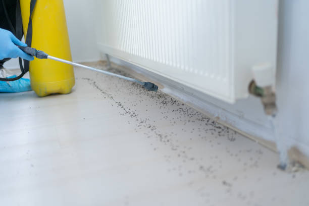 Best Best Pest Control Companies  in Murrysville, PA