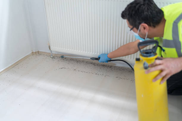 Best Affordable Exterminators  in Murrysville, PA